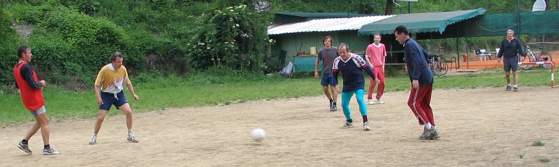 sedmorka, nepokoena trava (Joko!), poravnate dombe, bespravna gradnja